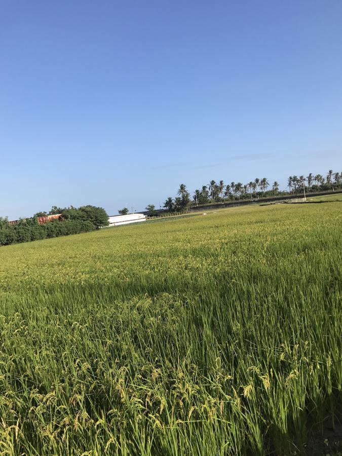 Cozy Life Apartment Taitung ภายนอก รูปภาพ